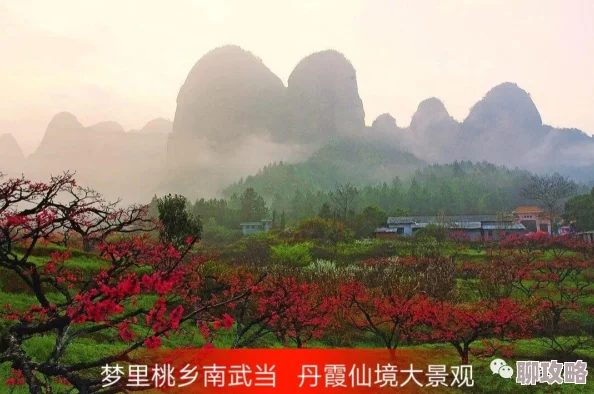 2025年剑侠情缘手游武当门派克制桃花流派高级技巧
